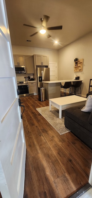 Entry into the living room
