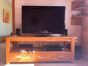 Television