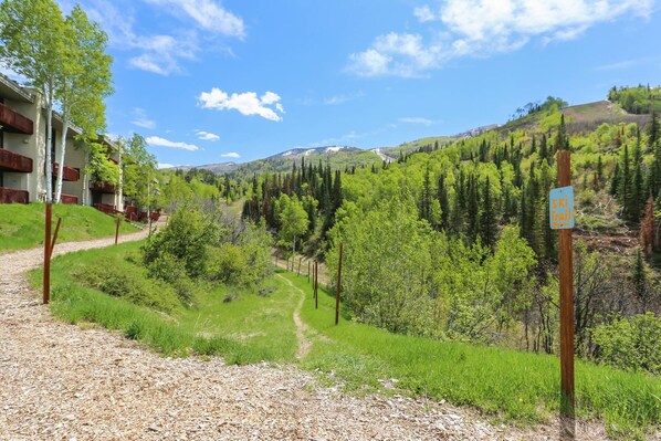 Summer Right on the Mountain!