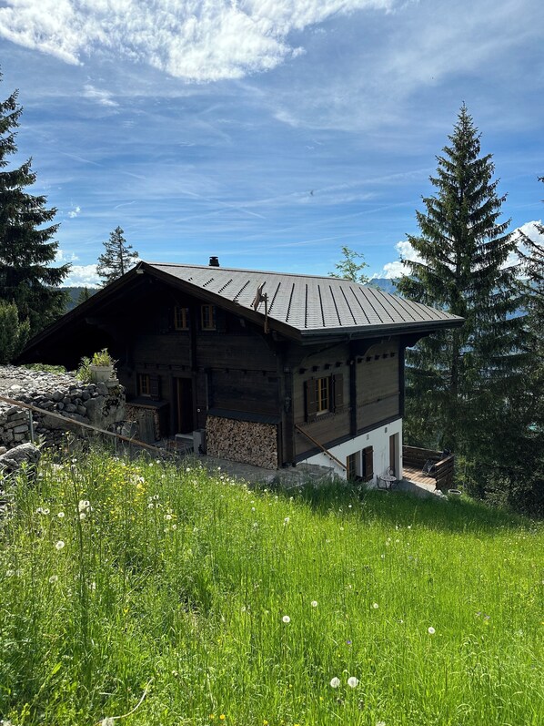 Exteriör