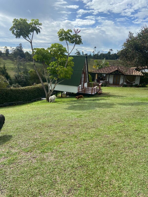 Property grounds