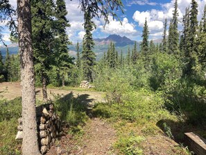 A view into Denali National Park from your window.