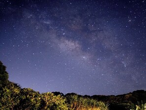 Rooftop sunbeds, ocean views, and starry skies at night
