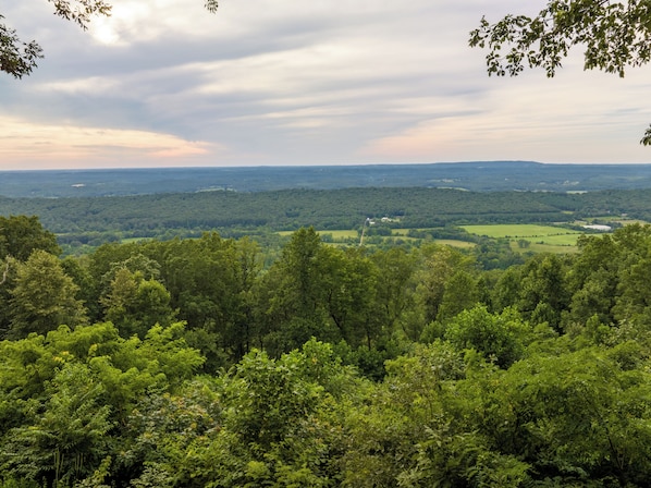 VIEWS from Back Porch and Fire Pit Patio. 