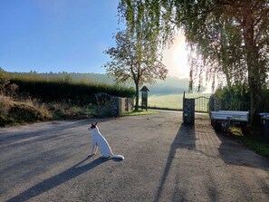 Boendeområde
