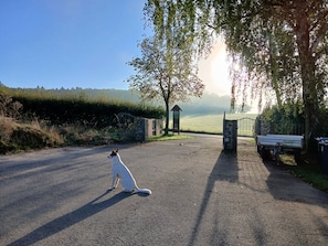 Boendeområde