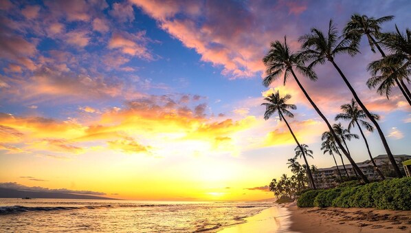 Tropical serenity with every sunrise and sunset HKK-730