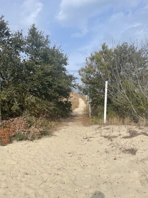 "Gravel","Road","Path","Vegetation","Ground"