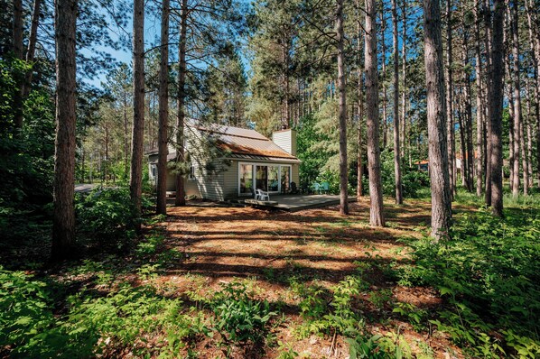 Nestled among the towering trees, your private vacation awaits!