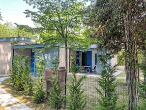 Plante, Communauté Des Plantes, Fenêtre, Bâtiment, Lot Terre, Arbre, Herbe, Quartier, Zone Résidentielle, Arbuste