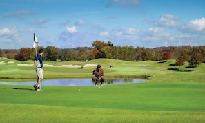 Golf
