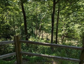 Small Hiking Trail to River from Cabin