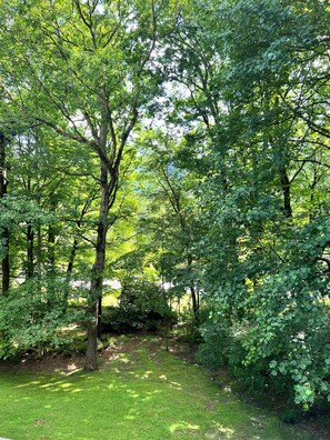 Summer View