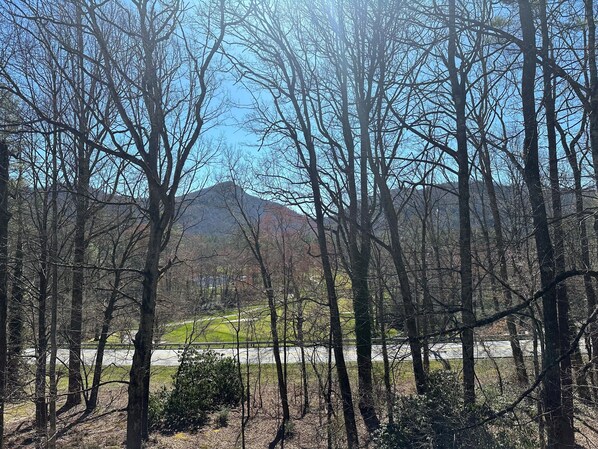 Winter / Spring View of Golf & Chimney Top Mountain 