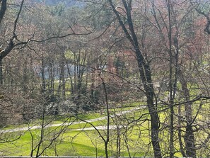 Spring View of Golf