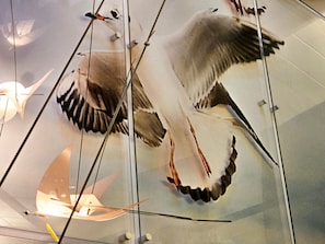 Detalle interior