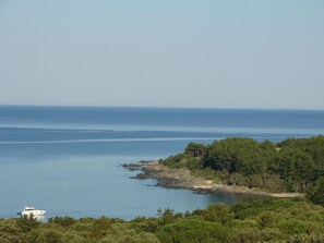 View from the terrace