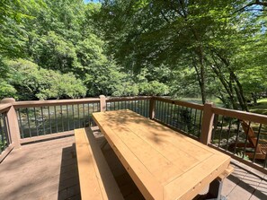 Gorgeous River Front cabin rental in Ellijay