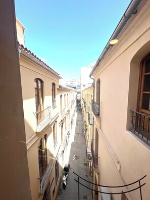 Vista desde la propiedad