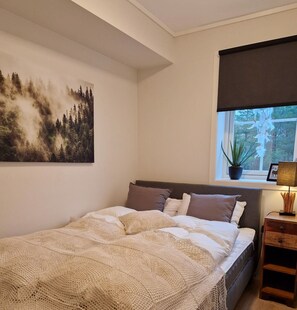Bedsheets&towels can be brought by you or rented with nok 250 per set 