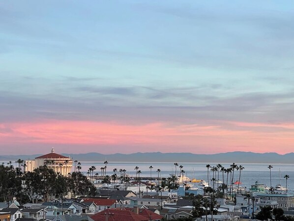 View from Balcony