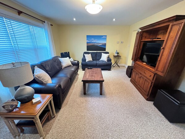 Living Room with TV (1)