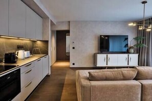 Living room with kitchen (2)