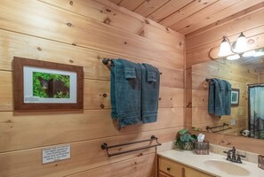 Main floor bathroom