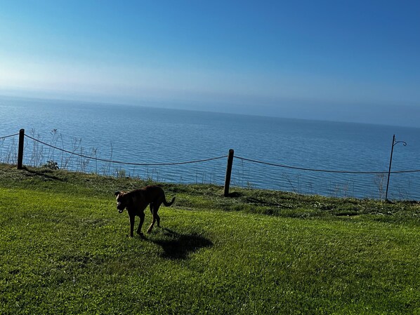 front yard-direct view of lake Erie