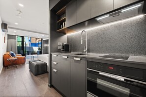 Kitchen Area/Living Area