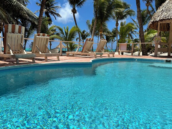 Dive into relaxation in our serene pool, framed by lush palms.