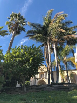View from Street