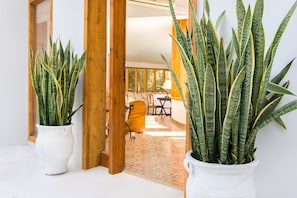 Dazzling Ialysos Villa | Villa Alecdora | 3 Bedrooms | Design Walk-in Swimming Pool | Furnished Sun Terrace | Private Garden | Doriea