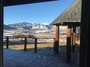 Winter sunshine