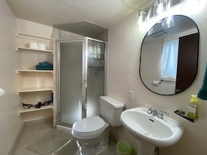 Main level bathroom with walk-in shower, toilet, and sink.