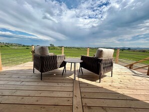 View from Prairie Coneflower