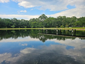 Swimmable, treated pond. Stocked with fish! 