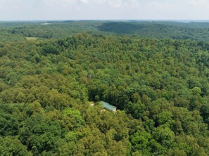 The Art Lodge is located deep within a 58-acre nature preserve. This hardwood forest is a perfect escape.