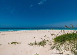 Our spectacular beach!