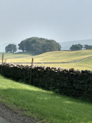 top of bellow hill looking at the buttercup meadows in June