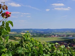 Weinberglage Schwabbach