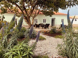 Relax in green surroundings 