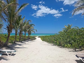 Strand