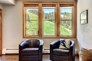 Views of the Ski Resort Base