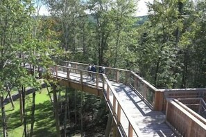 Overnatningsstedets område