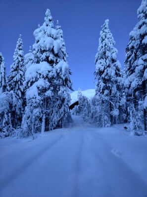 Skidåkning och snöaktiviteter