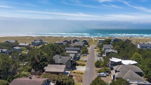 Neighborhood, Birds Eye View