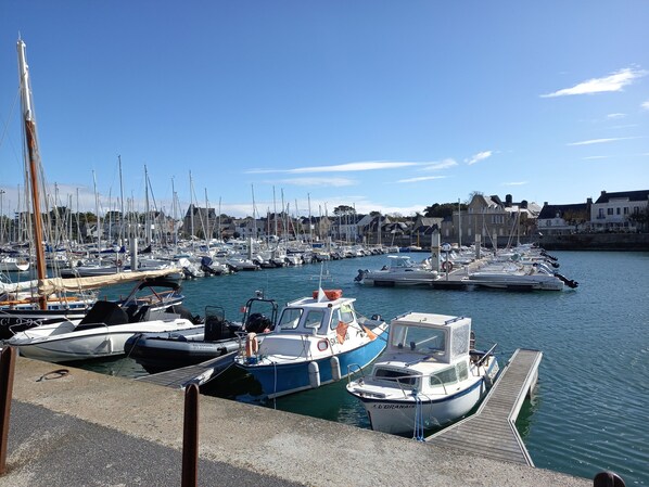 Marina