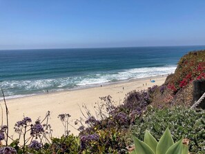 Blissful Beach