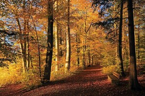 Boendeområde